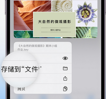 小榄镇apple维修中心分享iPhone文件应用中存储和找到下载文件