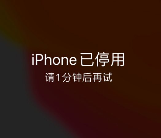 小榄镇苹果手机维修分享:iPhone 显示“不可用”或“已停用”怎么办？还能保留数据吗？ 