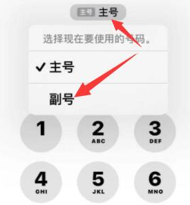 小榄镇苹果14维修店分享iPhone 14 Pro Max使用副卡打电话的方法 