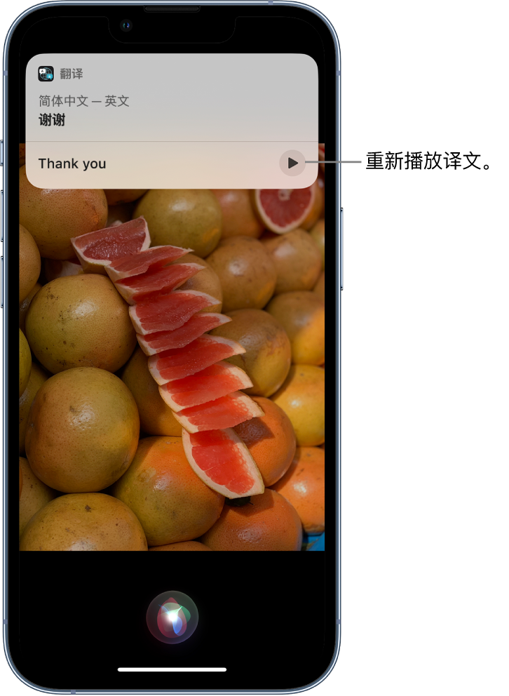 小榄镇苹果14维修分享 iPhone 14 机型中使用 Siri：了解 Siri 能帮你做什么 