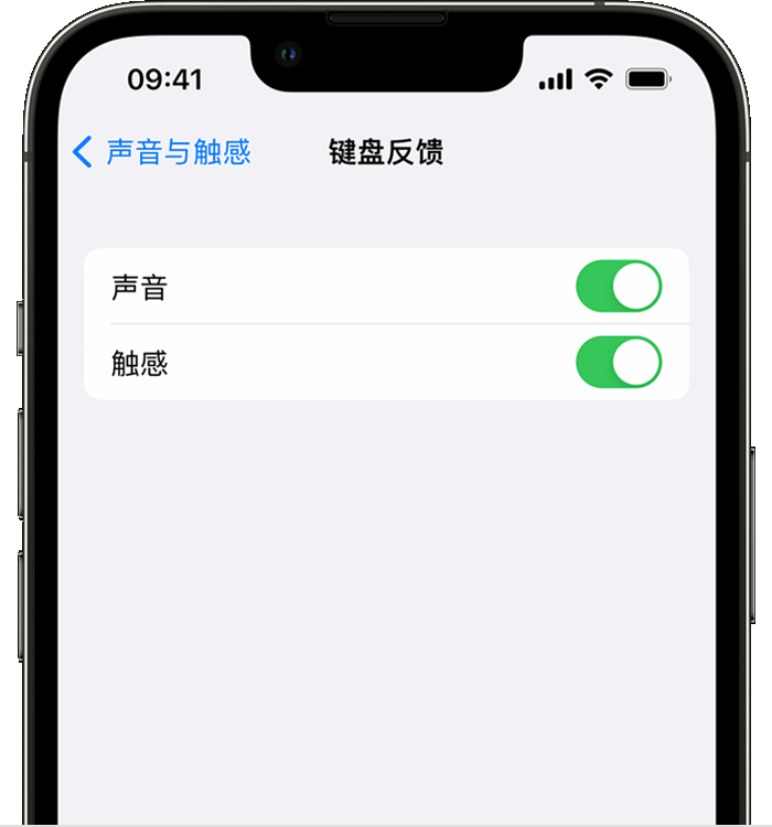 小榄镇苹果14维修分享iPhone 14 系列机型如何开启键盘声音或触感反馈 