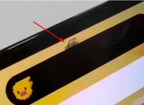 小榄镇苹果14维修分享iPhone 14 Pro Max灵动岛怎么养宠物 