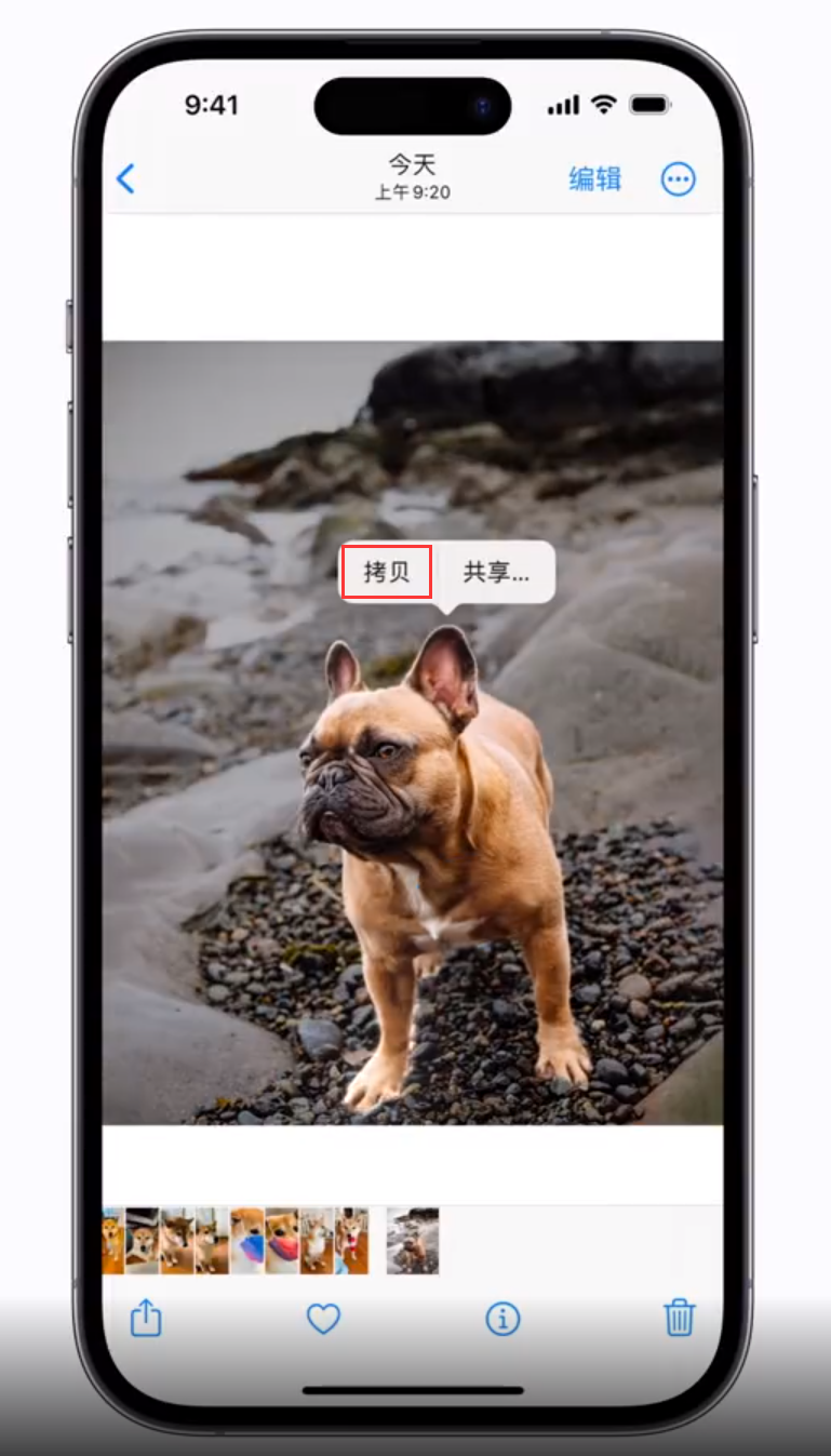 小榄镇苹果手机维修分享 iOS 16 自带一键抠图功能 
