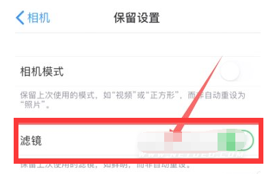 小榄镇苹果13维修分享iPhone13拍照有绿点是怎么回事 